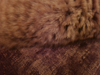 20241124_181047.jpg