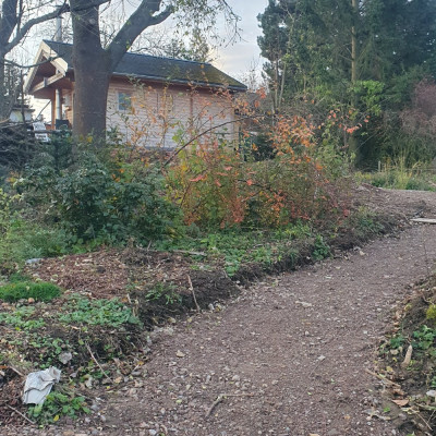20241125_081549.jpg