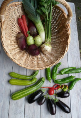 ernte_080925.jpg