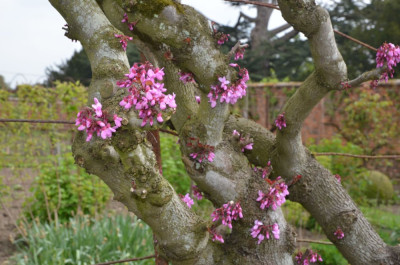 HelminghamHall.19-37.jpg