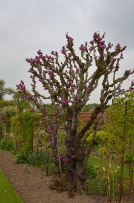 HelminghamHall.19-38.jpg