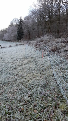 IMG-20241130-WA0002.jpeg