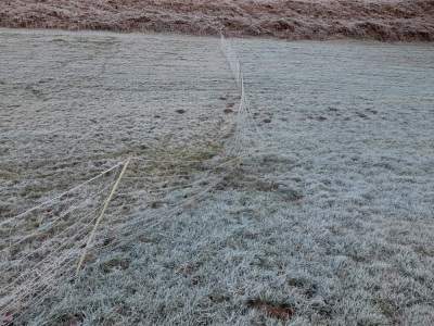 20241130_100706.jpg