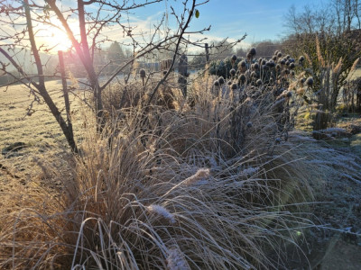 20241130_091522.jpg