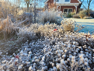 20241130_092557.jpg