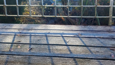 20241130_111231.jpg