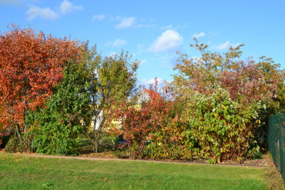 DSC_0063.JPG