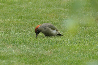 P1000430.JPG