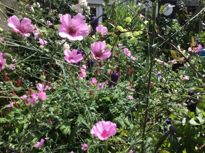 IMG_0572.jpeg