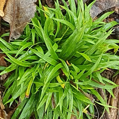 20241207_113840.jpg