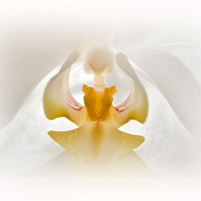 Weihnachtsengel-small.jpg