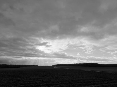 IMG_2137_1500px.jpg