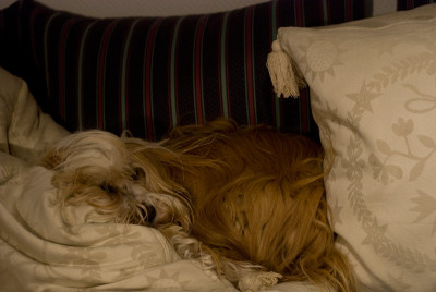 Nikon-50mm-Sep2608-3.jpg