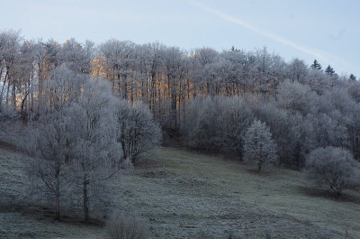 K5110107.jpg