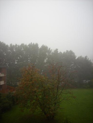 27.September_2008Nebel_001_9_Uhr.JPG