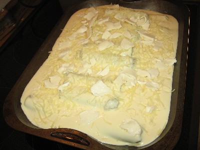 Canneloni_1.jpg