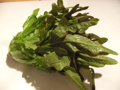 salat_002_Desktop_Auflosung.jpg