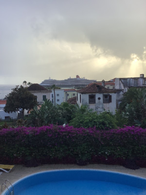 IMG_0354.jpeg