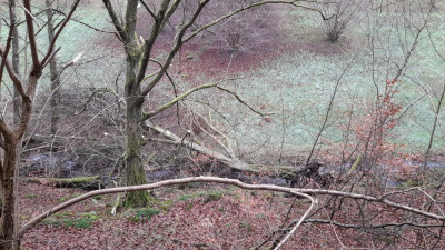 IMG-20241212-WA0018.jpeg