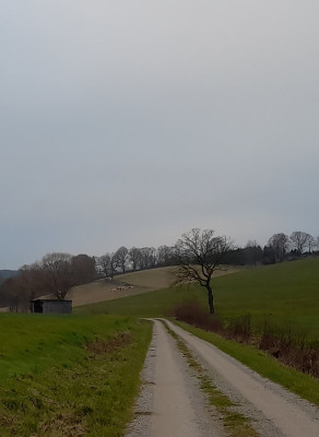 20241213_090901.jpg