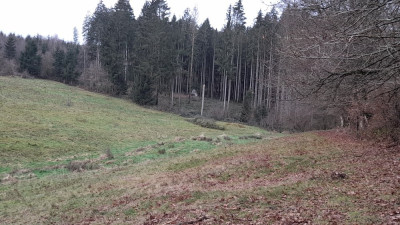 IMG-20241217-WA0005.jpeg
