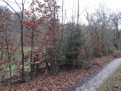 20241218_141411.jpg