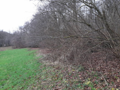 20241218_142913.jpg