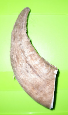 20241219_110946.jpg
