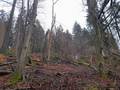 20241219_121409.jpg