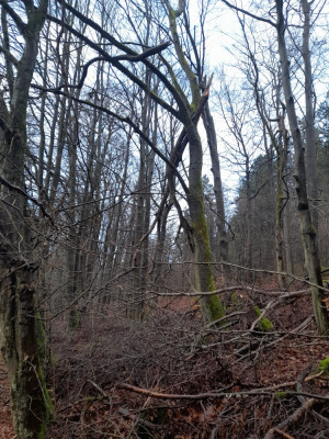 20241219_121308.jpg