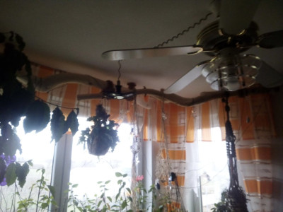 IMG_20230108_112205.jpg