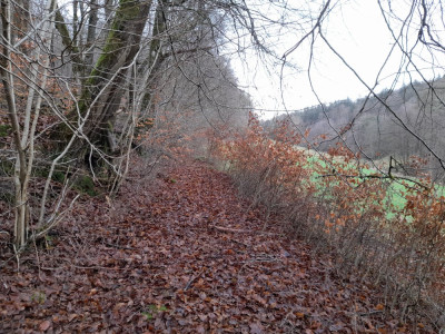 20241225_112232.jpg