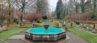 20241204_121539.jpg