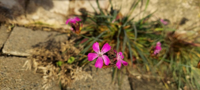 20241225_124258.jpg