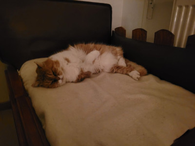 20241225_180012.jpg