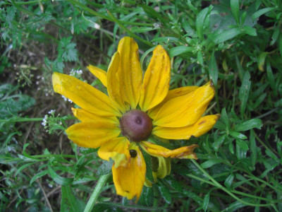 CIMG8409.JPG