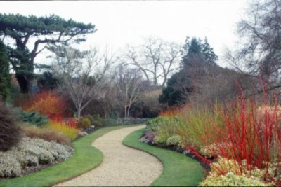 Wintergarten_Cambridge_Botanical_Garden.jpg