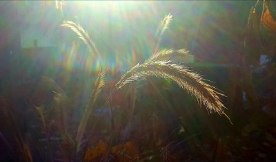20211121_130729.jpg