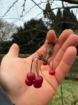 IMG_1104.jpeg