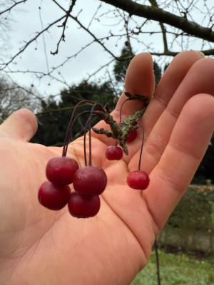 IMG_1103.jpeg