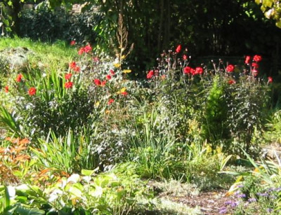BishopLlandaff20080928_02.jpg