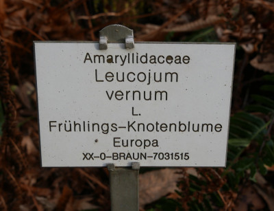 P1020737.JPG