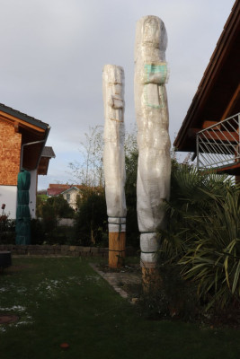 Palmenschutz von 21.11.24