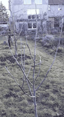 Bildschirmfoto vom 2025-01-02 12-17-422-min-min.jpg