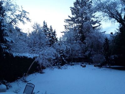 Schnee1.jpg