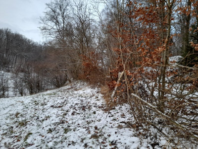 20250104_154634.jpg