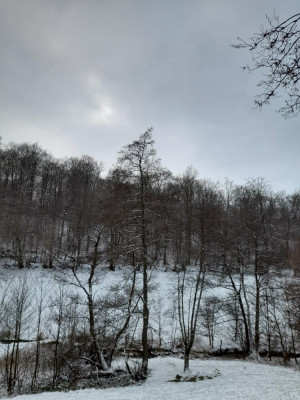 20250104_144950.jpg