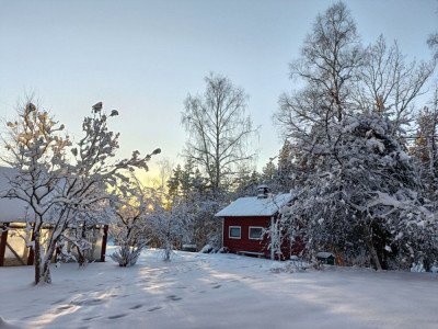 winter2025.jpg