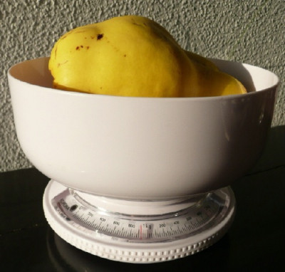 quitte_080929.jpg