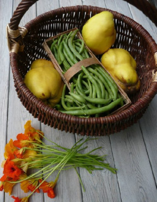 ernte_080929.jpg